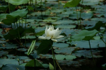 DSC00122_