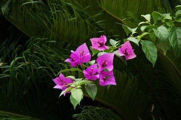 DSC00327_