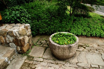 DSC00342_