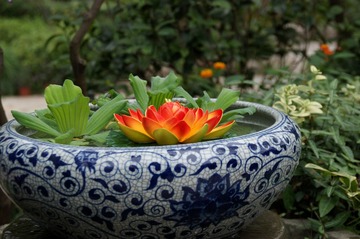 DSC00348_