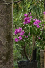 DSC00352_