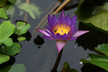 DSC00357_
