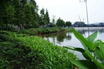 DSC00424_