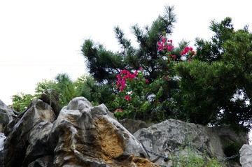 DSC00427_