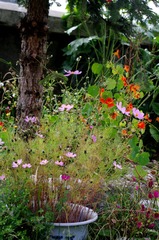 FENJ0141_