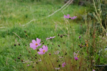 FENJ0148_