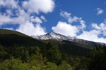 FENJ0402