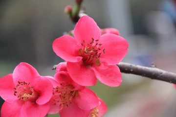 IMG_8823