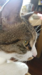 873