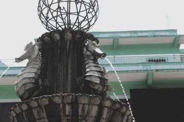 SDC11891