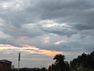 1000002818