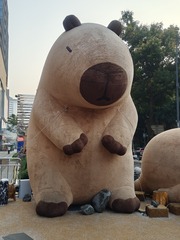 1000096225