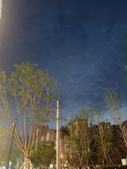 1000003676