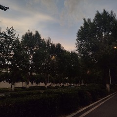 1000136073
