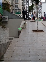 1610740