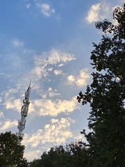 1000020587