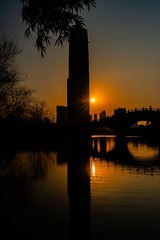 20250112-DSC_1686-40