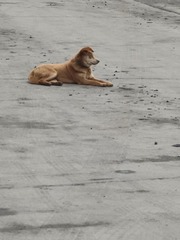 1000546031