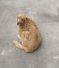 1000545449