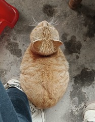 1000545989