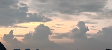1000020416