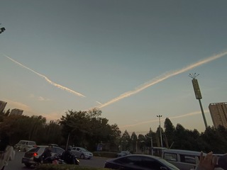 1000007195