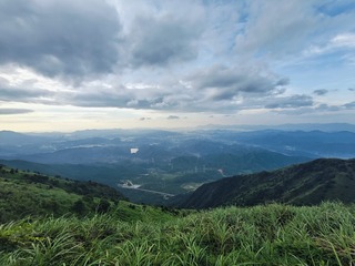1000015436