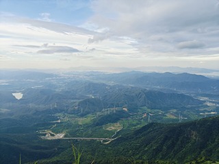 1000015441