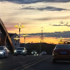 1000006161