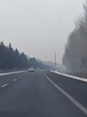 1000019087