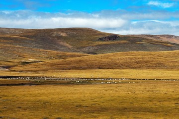 _DSC5371.jpg