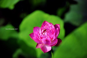 _DSC1083 副本.JPG