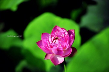 _DSC1084 副本.JPG