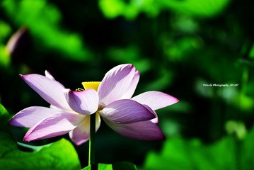 _DSC1100 副本.JPG
