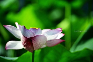 _DSC1103 副本.JPG