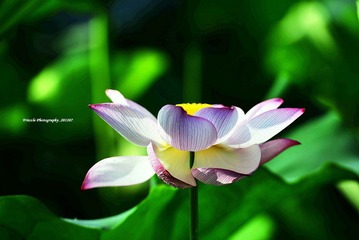 _DSC1107 副本.JPG