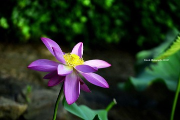 _DSC1117 副本.JPG