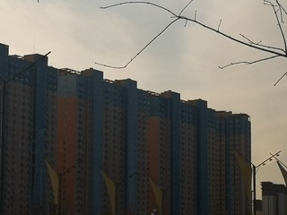 4250016