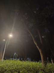 1000071411