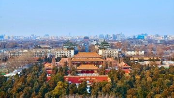 NC3_37811