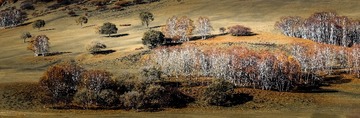 _U9W3454 (2)