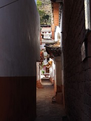 _1054709.jpg