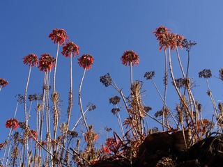 _1054737.jpg