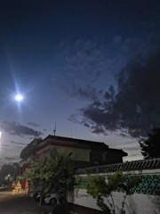1230076