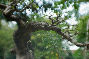 _1070800