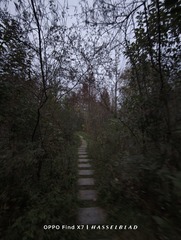 1000002720