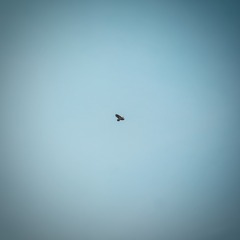 1000023609