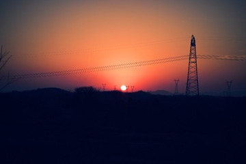 1000015513