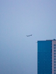 1000162639