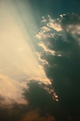 1000025641